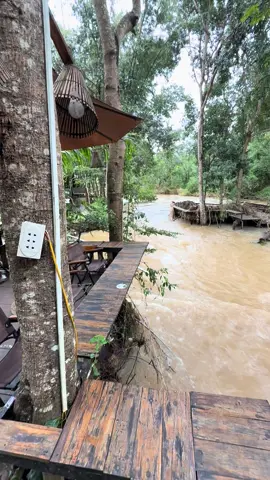 Chưa kịp tới chụp hình thì đã tan hoang hết rồi 