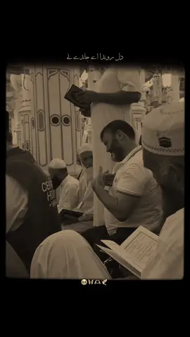 Dil Ronda Aye Jande Nay Jadoon Loki Madine Nu…🥺🦋🫶🕊️ #f#f#f#foryou#foryoupagenfreezemyaccountrowmyaccount2rabi_ul_awal