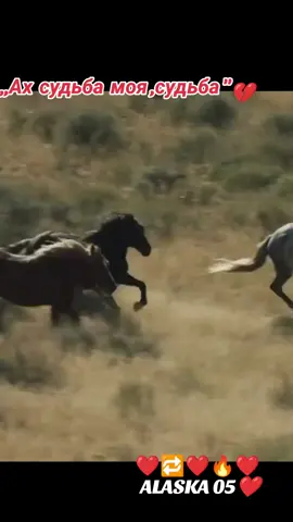 #janvm❤️🔁❤️🔥❤️ #песнядлядуши👍🎶🔥 #врекомендации 