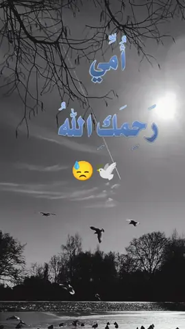 #امي  #يارب❤️ #دعاء 