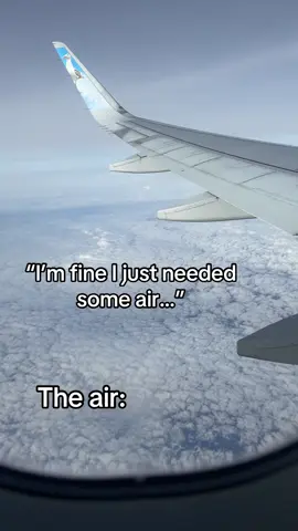 Just needed some air! #airplane #travel #airtravel #traveltok #catchflightsnotfeelings 