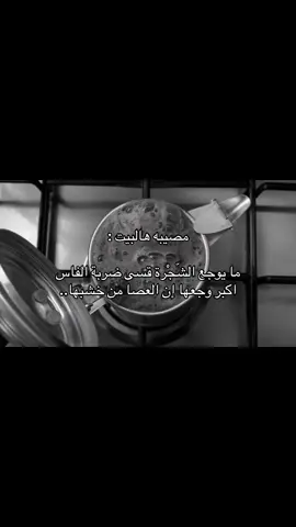 #شعر #viral 