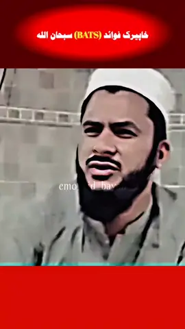 خاپیرک فوائد ۔ #islamicbayan #pashtowazifa #islamiwazifa #muftisalmanazharnewbayan #muftisalmanazharwazifa 