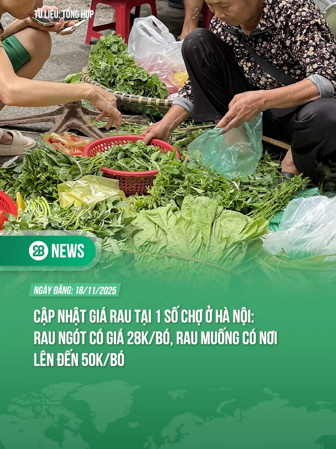 MỘT SỐ CHỢ BÁN RAU CÓ GIÁ TĂNG VỌT SO VỚI TRUNG BÌNH TRÊN BÁO CHÍ ĐÃ ĐƯA TIN #theanh28news #tiktoknews #theanh28