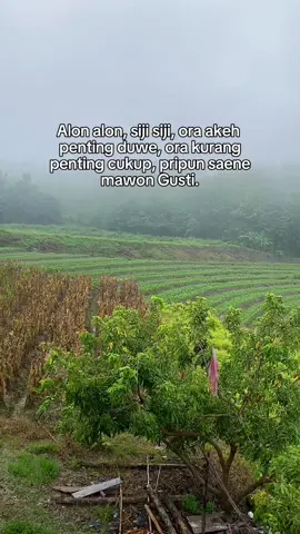 Bismillah dulu 🙏☺️#CapCut #story #bojonegoro 