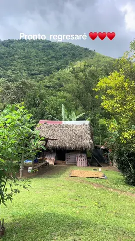 Nada como el campo . Vida tan sabrosa desconectado de todo 