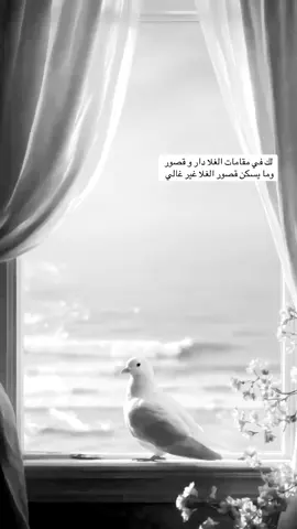 🤍#صباح_الخير#مجرد_ذووقツ🖤🎼#اكسبلورexplore 