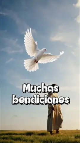 Martes muy buenos días llenos de #bendiciones #buenosdias #arelimendoza #frases #CapCut 