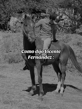 De esas meras y no hablo de yeguas❤️😍😍 ##paratiiiiiiiiiiiiiiiiiiiiiiiiiiiiiii #caballos #yasabesqueespatati #pfy #viral