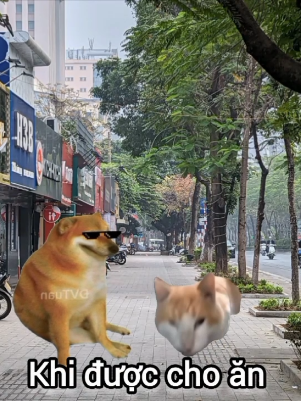 Sơn Tùng MTP 🤑🔥#vairalvideo #viral #ĐVTuan #fyp #Sontungmtp