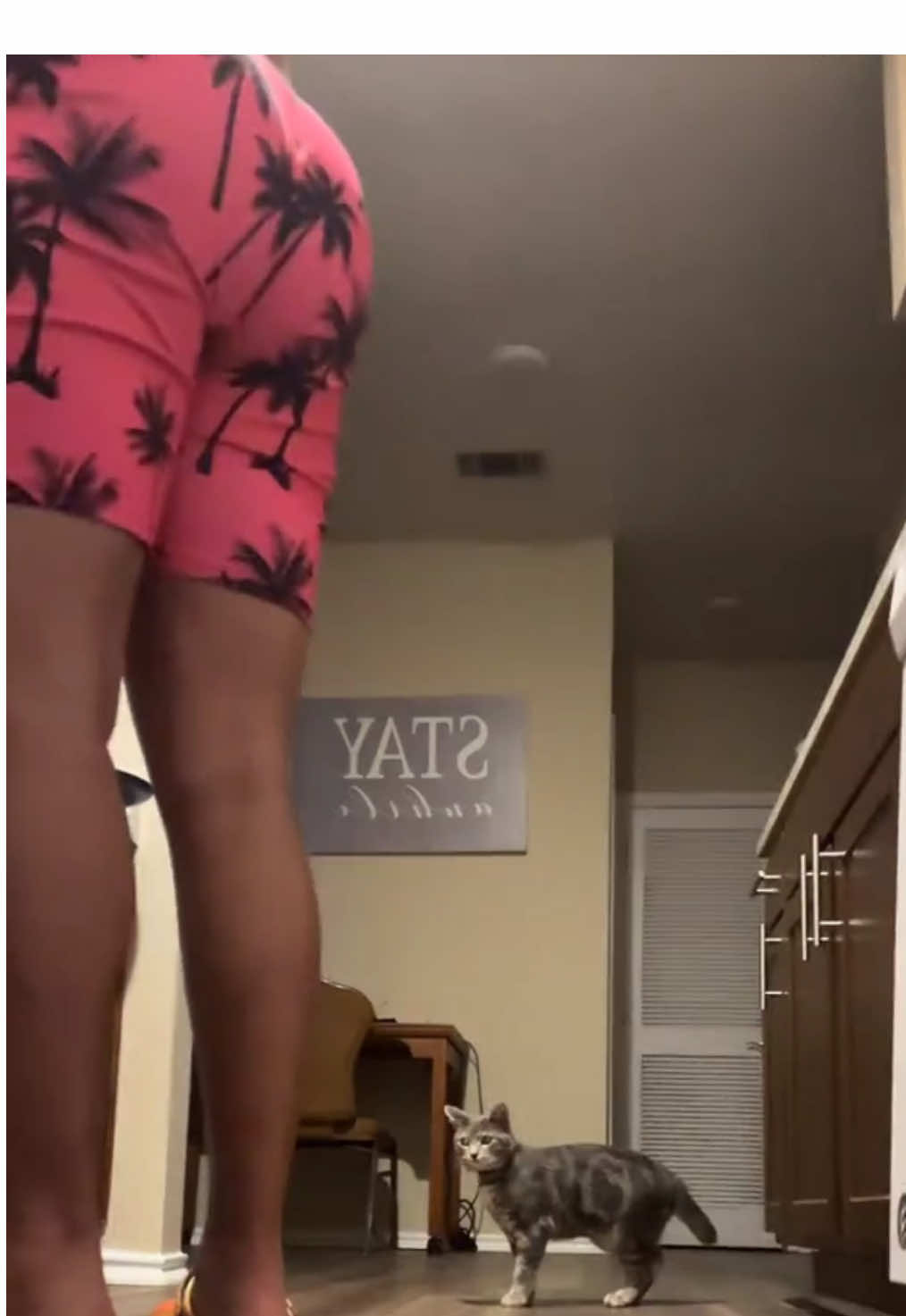 Nga #Macho_M4n got a WHAM straight like det🍑🤣