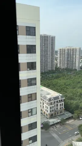 con đường hoa hồng trải đầy gai . Người ta có câu đồng tiền quyết định ý thức 🎭