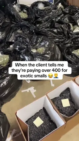 #fyp #yarttok #trapper 