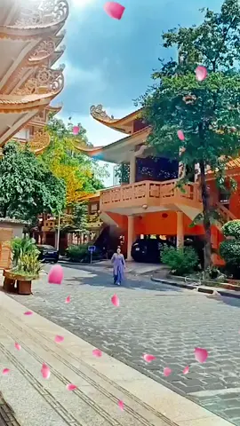 Giáp Tý 1984🪷🪷🪷#tuoity #tuvi12congiap #vanmenh #phongthuy #gocnhocuocsong68 @Góc Nhỏ Cuộc Sống @Góc Nhỏ Cuộc Sống @Góc Nhỏ Cuộc Sống 