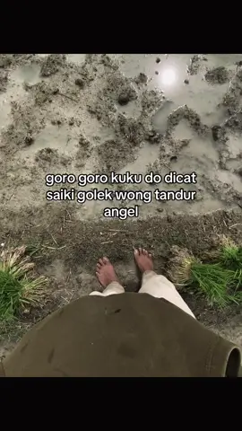 #petaniindonesia🇮🇩🇮🇩🇮🇩🌿🌿 #petanimuda #petanisukses #fypdong 