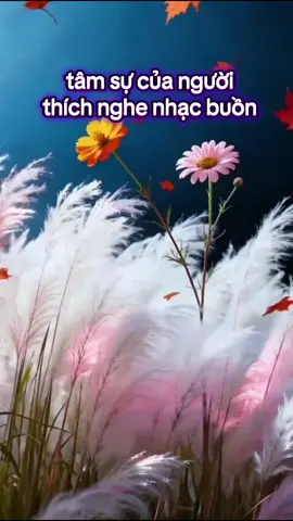 #tansunguoithichnhacbuon #loihayydep #canhdep #fyp  #foryou 