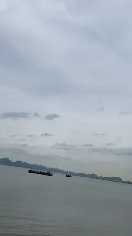 Đã bao lâu rồi bạn không đi đâu đó một mình, đón gió lạnh một mình, thưởng thức ly cafe trong đơn độc? Hít căng buồng phổi mùi hương đất trời, cỏ cây. Để biết rằng bản thân mình còn sống, còn hi vọng, còn niềm tin và cả một ngày mai thật dài phía trước.  #cuộcsốngtươiđẹp  #mộtmình  #hanhphucquanhta  #ngàytrởgió