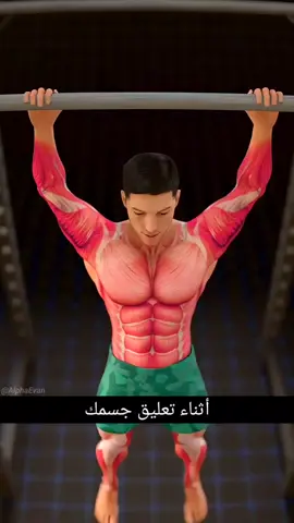 كيف تساعدك الجاذبية على تمديد عمودك الفقري؟ – شرح ثلاثي الأبعاد  #معلومة #كيف #معلومات_عامة #طب #رياضة 