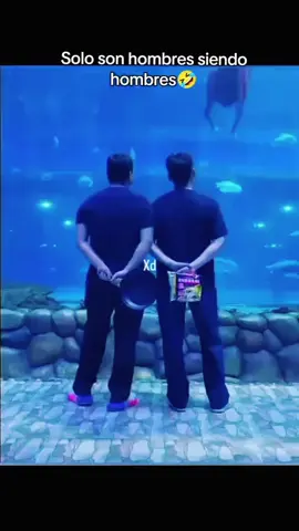 #hombre #comedia #meme 