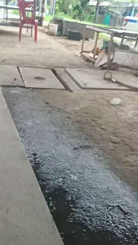 chắc chắn là không thấy rồi =))#MemeCut #winnerv1 #longan #rs150malaysia_oficial🇲🇾 