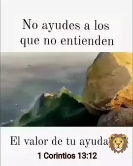 Ahora vemos por espejo, oscuramente; mas entonces veremos cara a cara. Ahora conozco en parte; pero entonces conoceré como fui conocido