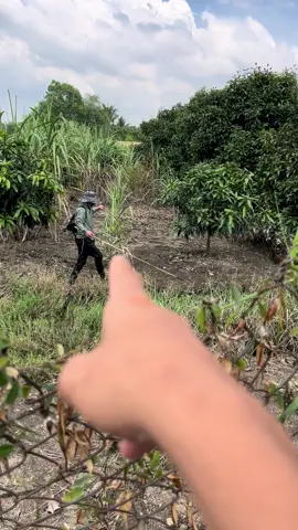 2 anh này có ai biết ko ạ 😂#xhhhhhhhhhhhhhhhhhhhhhhhhhhhhh #xuhuongtiktok #trending 