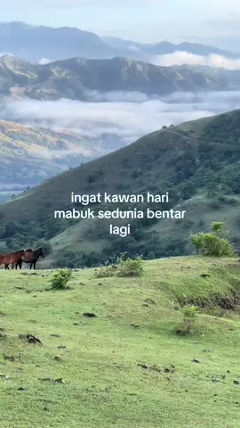 konten sekali setahun🤣🤪🙏🏻#explore #torajasulawesiselatan #keren #tahunbaru #fypシ゚ 