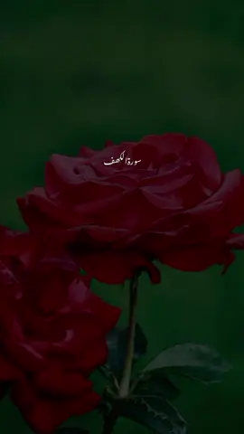 #creatorsearchinsights 