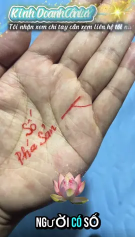 [Phần120]Kinh Doanh Cần Lưu Ý#luangiaichitay #xemchitay #xemtuvi #fyp #viral 