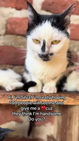 Share to five people.