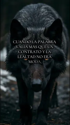 Soy de la vieja escuela… donde la palabra es ley. Donde la lealtad vale más que el ruido, y donde un hombre no promete: cumple. Si tú también eres de esa generación que no falla, comenta PRESENTE y deja un 🐺. Comparte este mensaje… la manada necesita recordar lo que es HONOR. . . . . #LoboNegro #TeamBlack #ViejaEscuela #FrasesDePoder #LealtadEsLey