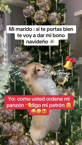 #Meme #MemeCut #fypage #bononavideño #paratiiiiiiiiiiiiiiiiiiiiiiiiiiiiiii 