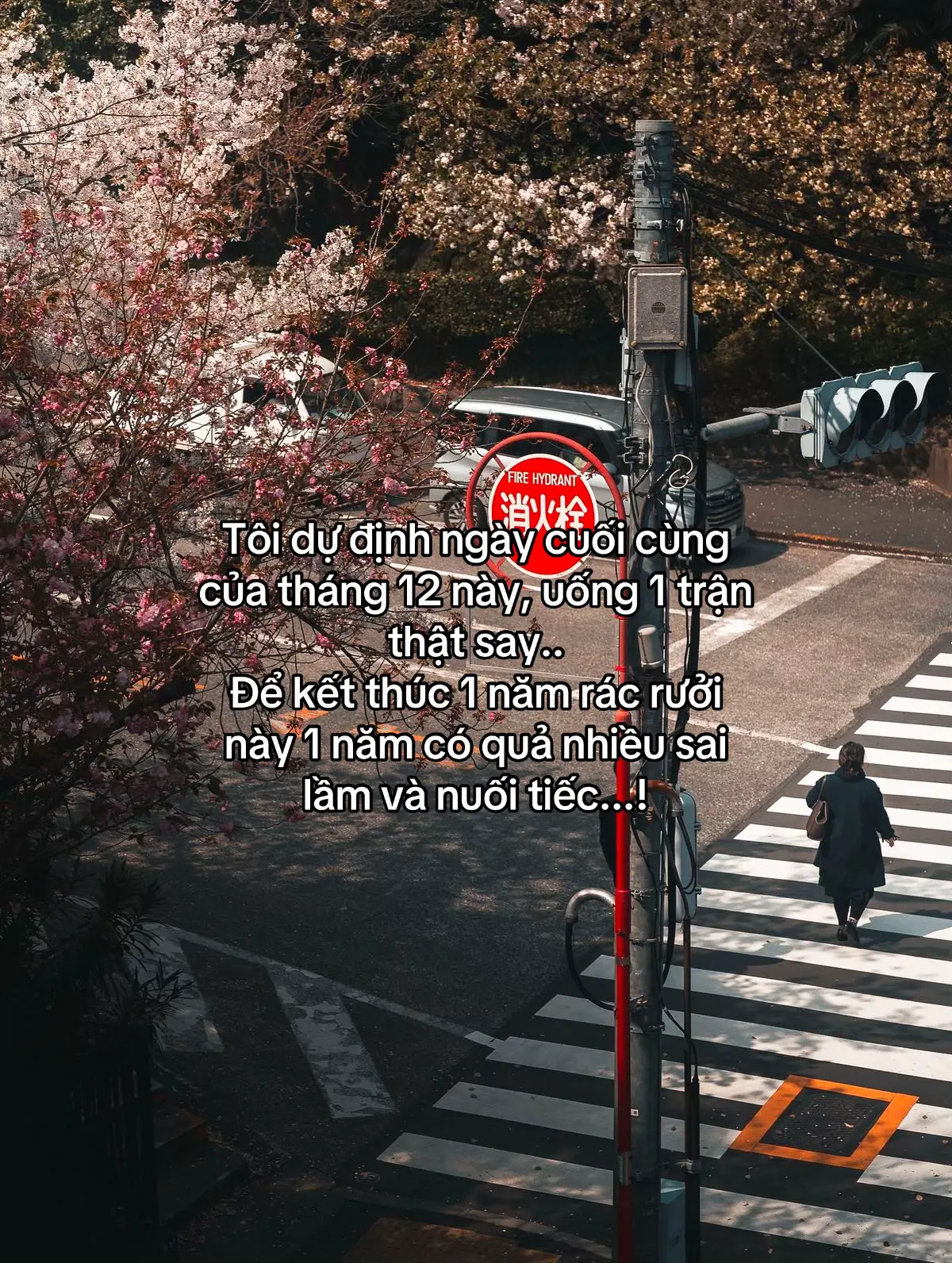 #story #tamtrang  #cuocsong #fyp #xh 