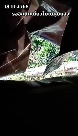 งานเลี้ยงกำลังจะจบ #เทรนวันนี้ #อัพเดทล่าสุด #ชายแดนไทยกัมพูชา 