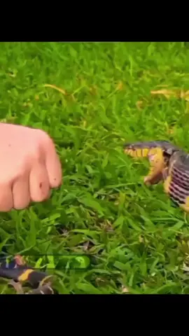 Jangan panik #aconk_028 #hiburan #komedi #ngakakkocak #lucuabis 