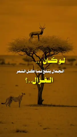 #عبارات_جميلة_وقويه😉🖤 #تصميم_فيديوهات🎶🎤🎬 #اكسبلورexplore #مالي_خلق_احط_هاشتاقات #شرح 