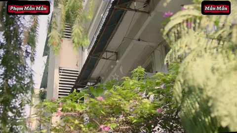 Tập 8 Phần 8 #vieon #thaihoa #LearnOnTikTok #fyp #phimvietnam 