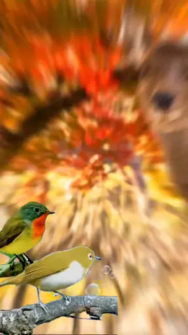 #Recuerdos #paratiiiii #Buenosdias 