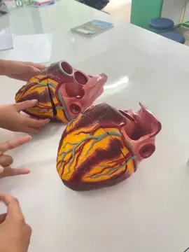 #ແທັກແຟນ #ເອົາຂື້ນຫນ້າຟີດແນ່ #ລີໂພສໃຫ້ຫອມແກ້ມ😜555 #ຕາມກະແສ #foryoupage 