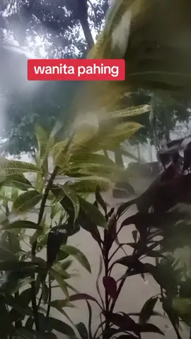 jangan diskip liat detik2 terkahir aku hampir kesamber petir😱# #wetonjawa #pahing #fypppppppppppppppppppppp #viral 