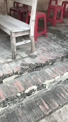 #ddnxuhuong #fyp #tamtrang #mothaycau 