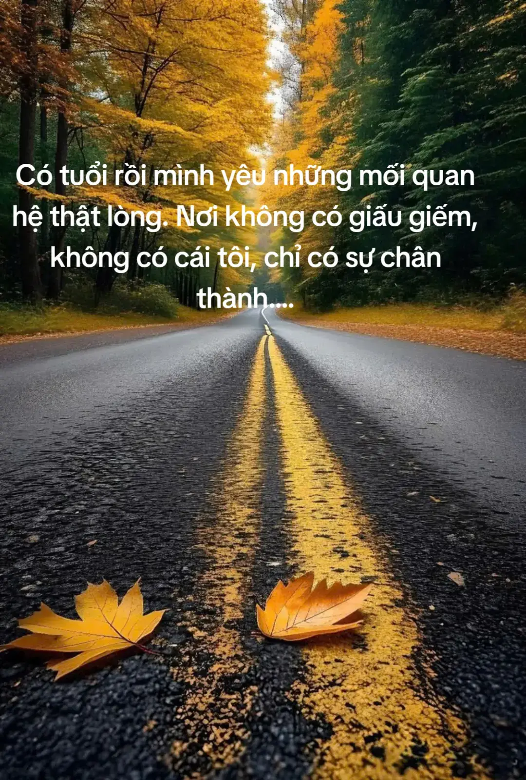Mình yêu khi ai đó dám nói thật, dám chia sẻ hết lòng, dám thả lỏng cảm xúc mà không sợ bị hiểu lầm. Mình thích những cuộc nói chuyện sâu sắc, nơi hai người có thể ngồi với nhau, không cần phòng bị, chỉ cần là chính mình. Vì đôi khi, chỉ cần một người chịu lắng nghe và một người dám mở lòng, là đã đủ.....