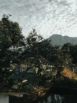 😂😂#fypシ゚viral🖤video #sunda 