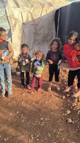 #saveollie #tik_tok #Donate #UK #fyb 