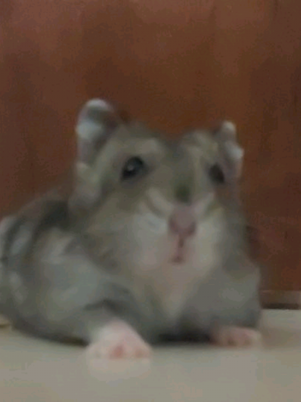 Eu não consigo falar direito, espero mesmo que eu não tenha passado vergonha postando esse vídeo 😭😭😭 #fy #fyppppppppppppppppppppppp #desabafo #rt #viral 