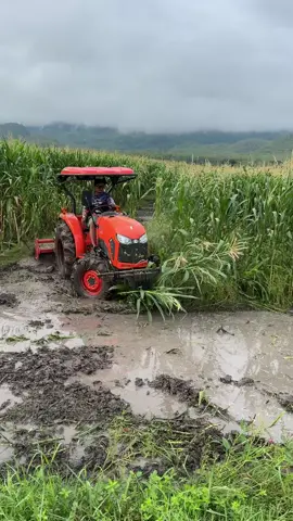 Gagal tayang #petani #traktorsawah #traktor #kubota #traktorkubota 