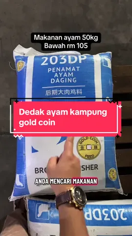 Makanan ayam kampung 203DP #makananayam #dedakayam #poultry #chickenfeed 