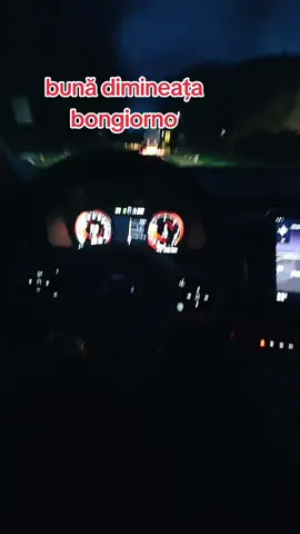 #LIVEFest2025 #tiktokromania🇷🇴 #strain #diaspora #italy 