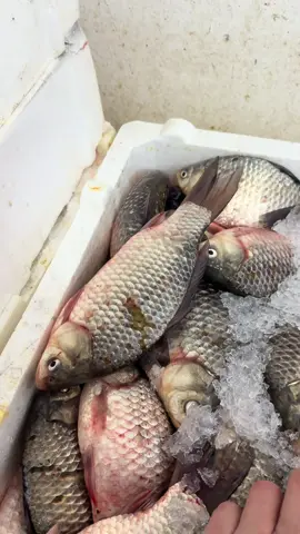 Indiferent de specialitate, noi vindem doar calitate!