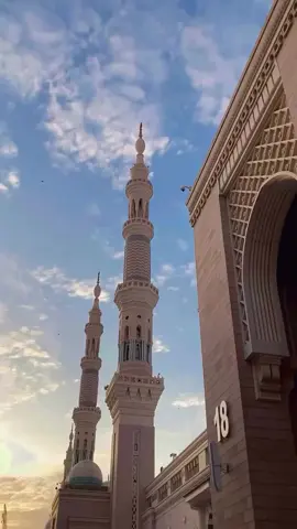 The calmness of Madina touches every heart that enters it.